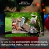 ytubecdroznik