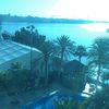 tahani_81