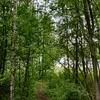 valokide
