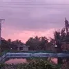 quynhnguyen223