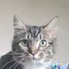 w0cet