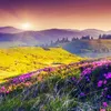 minhduy123456799