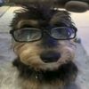 jsstatum_