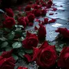 ur3426211