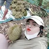 quynhcunq229