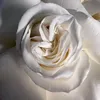 mysn.ozr