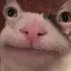 darf.kevin.spielen.komme