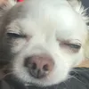 hgrzvjtfvbkh
