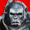 koba8bp