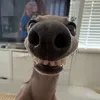 kovasty