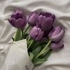 purple.lovers6