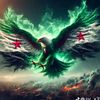 gamil417
