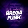 bregafunkparastts
