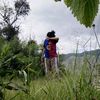 diana_1_27