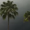 xyzwhatever1