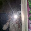 vensaaaaa_2
