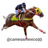 🔥Carreras🏇México🔥