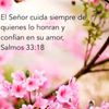 sandry.loxano