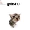 gatitohd4