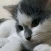 kira_mia_5