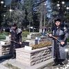 samet.pek