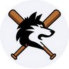 The BEST ⚾️🥎 Page on TikTok!