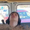 lizardq_11