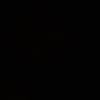 bnxi_7