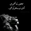 haiderustad1
