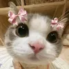 meowminggmingg