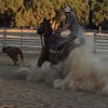Cowboyshit
