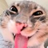 kitty_kitty_890