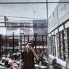 ericssonsamosir_