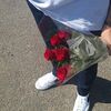 hamoode.s