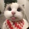 giahan_069
