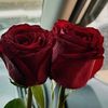 muhammad.ali02603