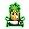 pinamtg