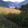 www.mindoza77mindoza