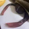 kemari34