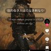 user981827710