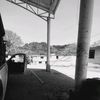 elz_40_