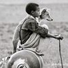abdi331809