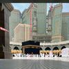 toutouyahya