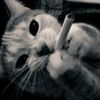 crimsntalons