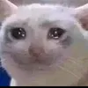 yrhryrju1
