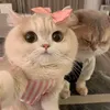 phuongthichnuoimeo