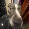 eldiariodedon