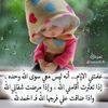 hams195