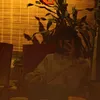 mangotooth_