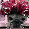ana_lola2